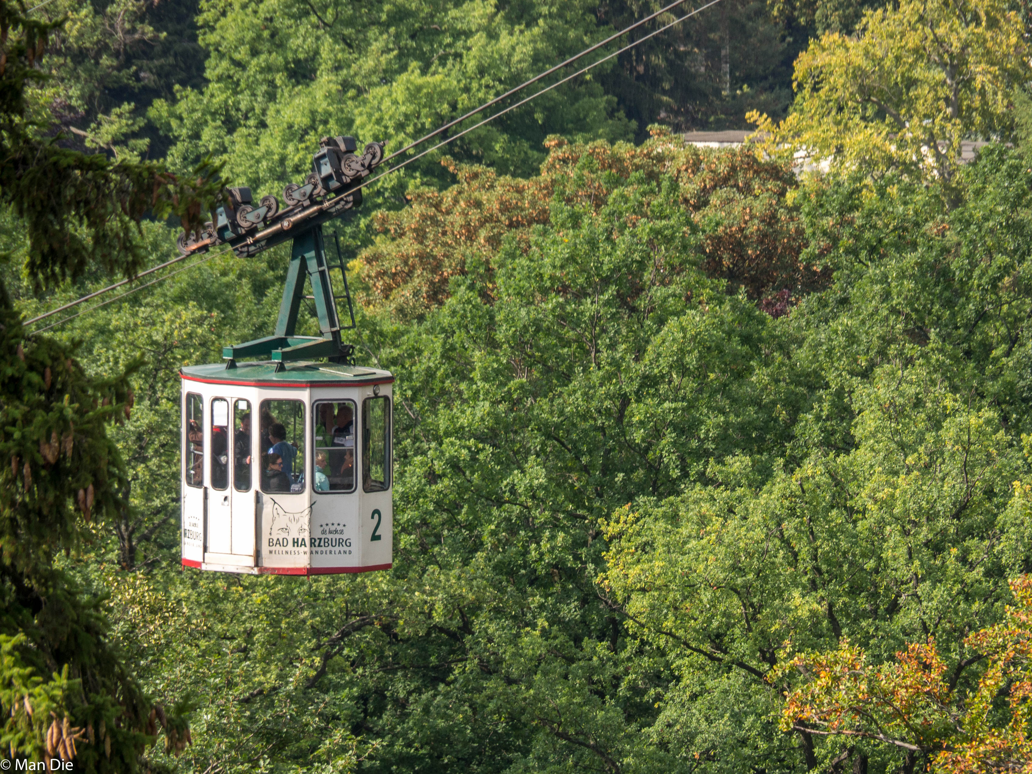 Bad Harzburg Baumwipfelpfad Und Seilbahn Im Harz