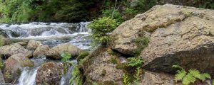 Das Okertal im Harz, ein Reisetipp mit Wildwasser