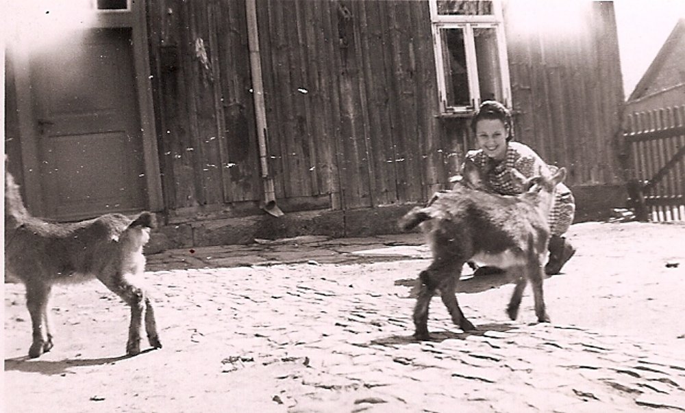 Tierwohl 1940 Jugendliche spielt mit Ziegen