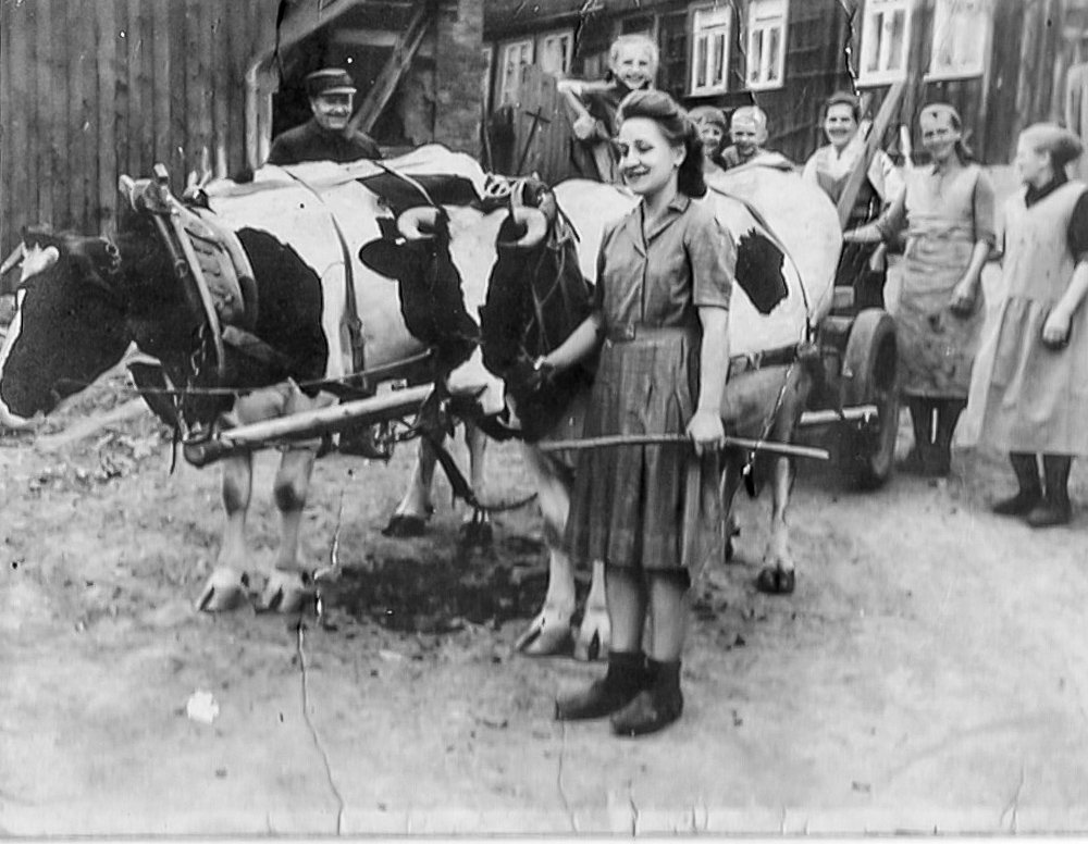 Kleinbauern, die ganze Familie hilft mit, ca 1940