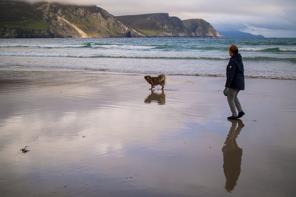 Hund am Strand in Irland