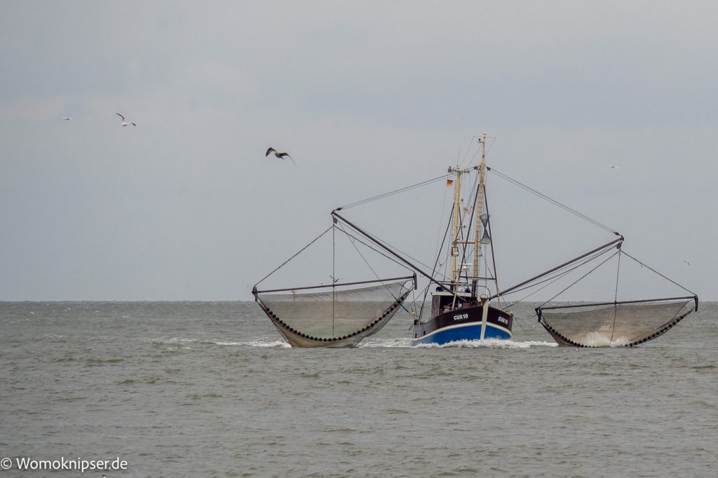 Cuxhaven an der Kugelbake Fischer bei der Arbeit
