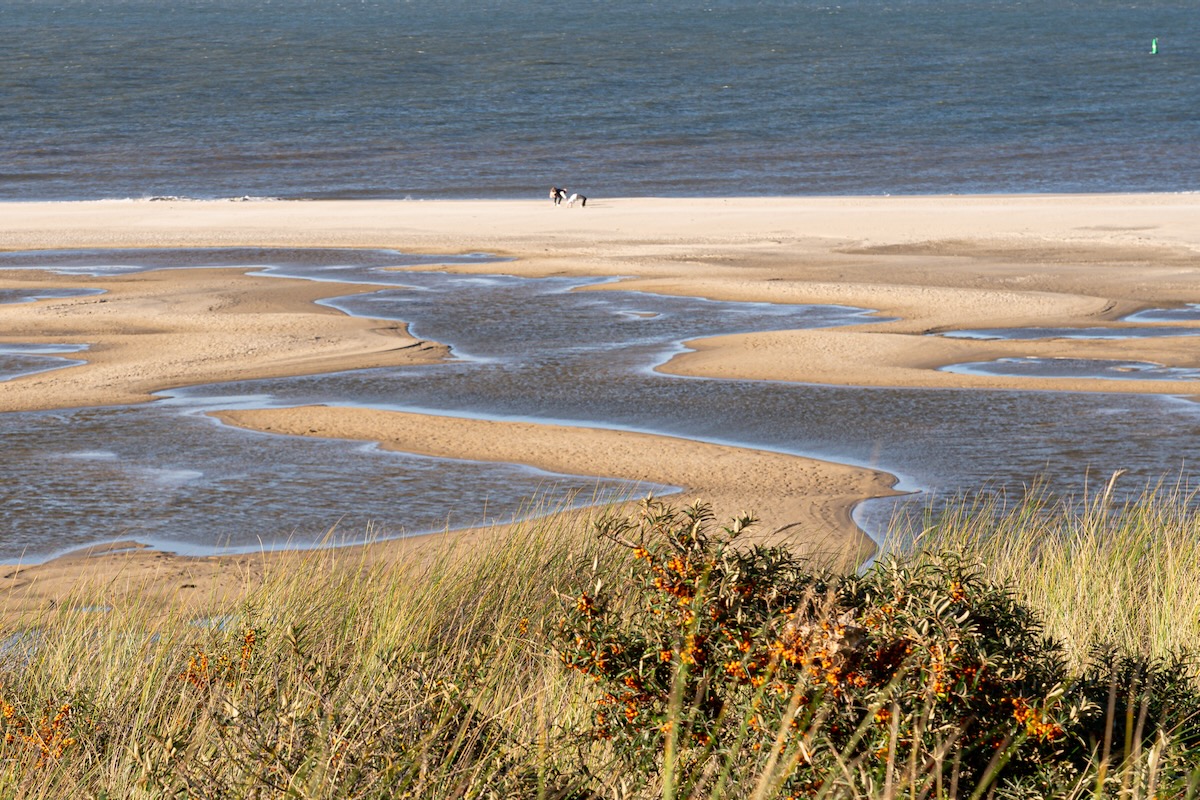 Texel Strandblick von einer Düne