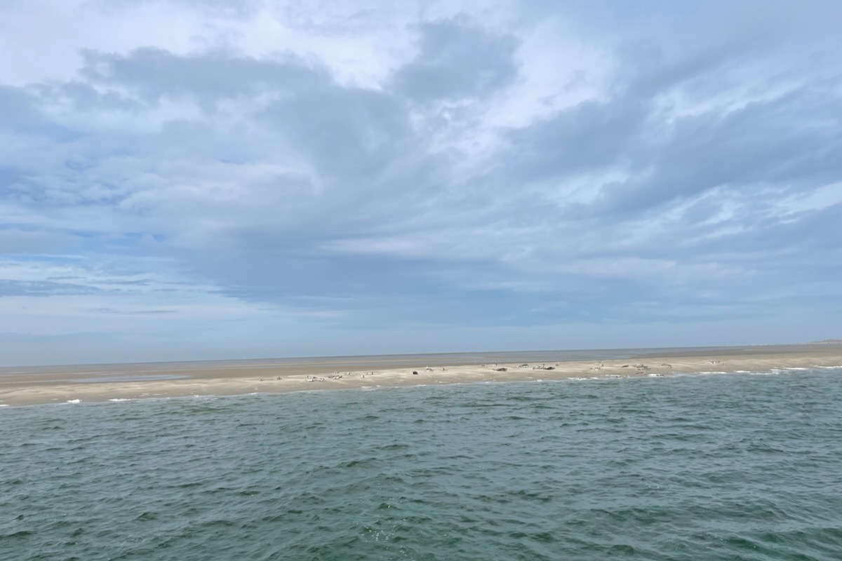 Fahrt zu den Seehunden Texel