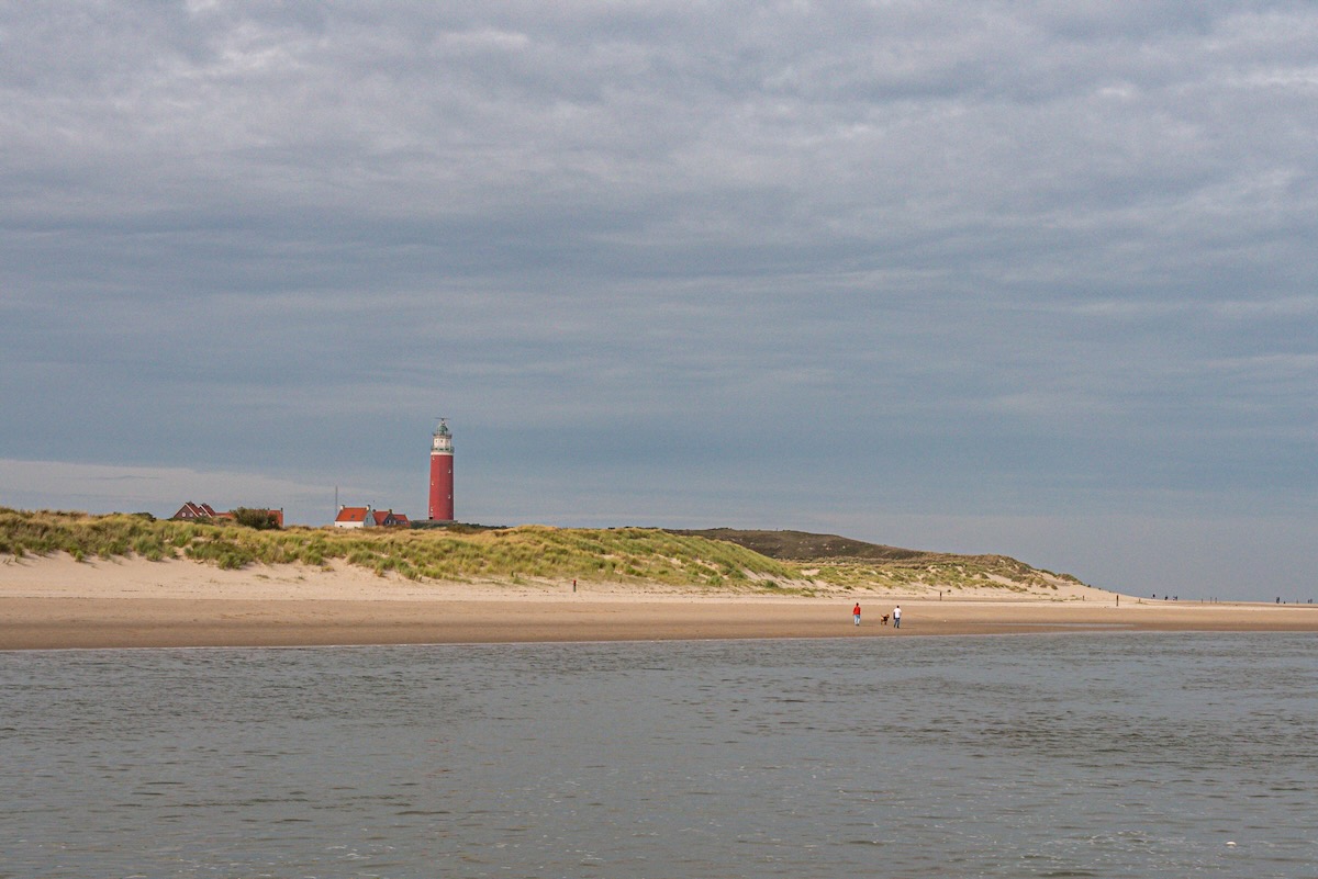 Fahrt zu den Seehunden Texel