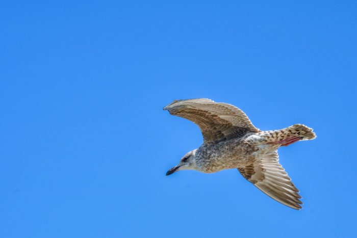 Rund um den Bovensdamm