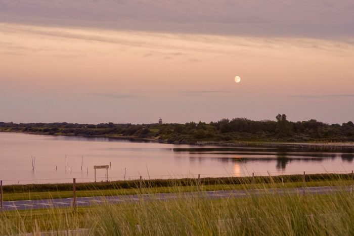 Rund um den Bovensdamm