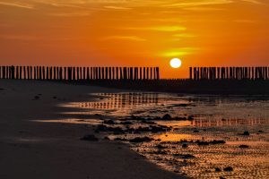 Am Strand von Breskens