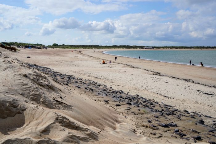 Rund um den Bovensdamm