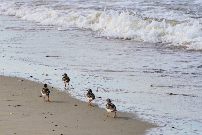 Rund um den Bovensdamm