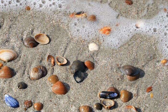 Rund um den Bovensdamm