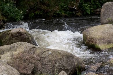 Okertal im Harz, Fluss mit Wildwasser